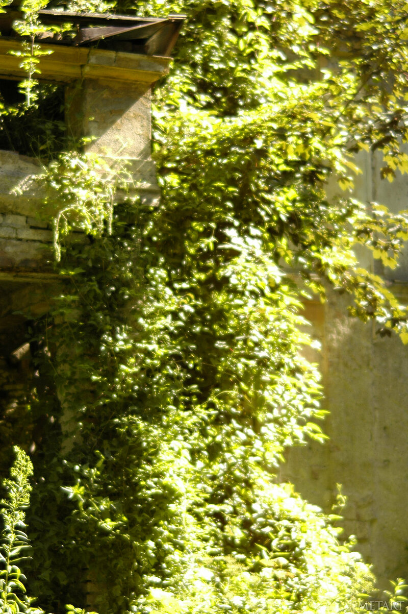 Гузель, 40 лет, 3 размер груди